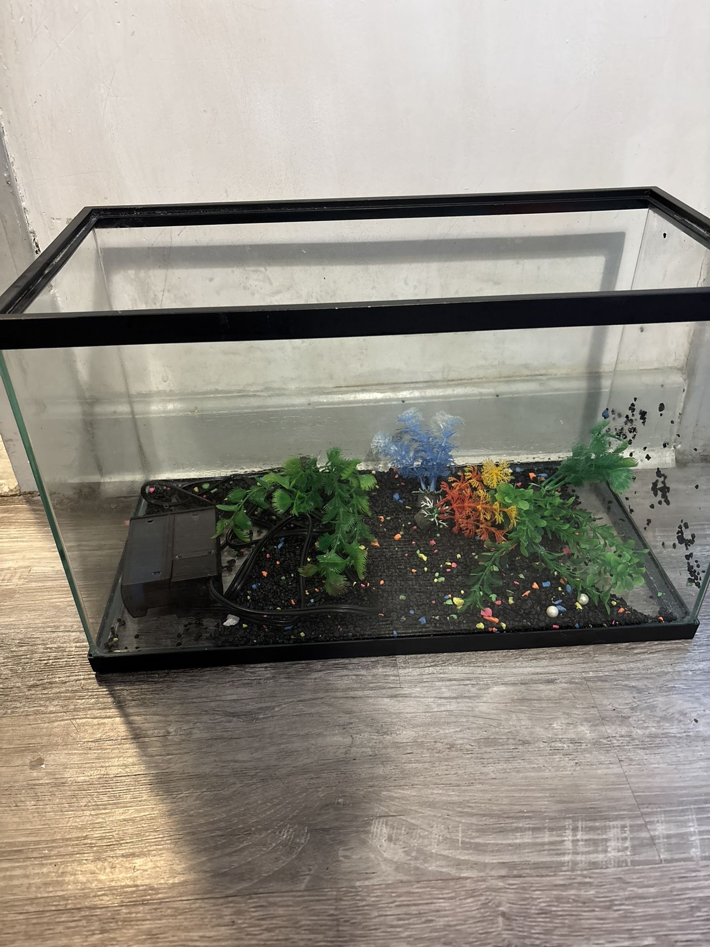 20 Gallon Fish Tank