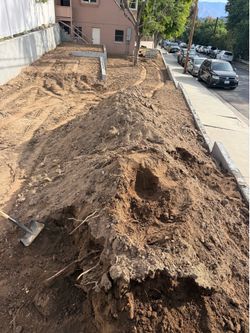 Dirt free gratis