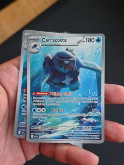 (IVM) carracosta ir