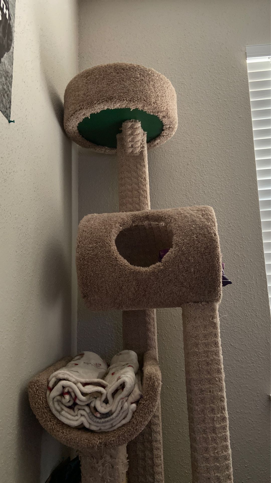 Cat Tower