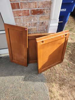 FREE Cabinet Doors