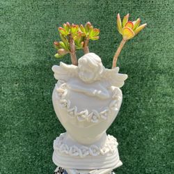 Succulents In A Beautiful Heart Cherub 