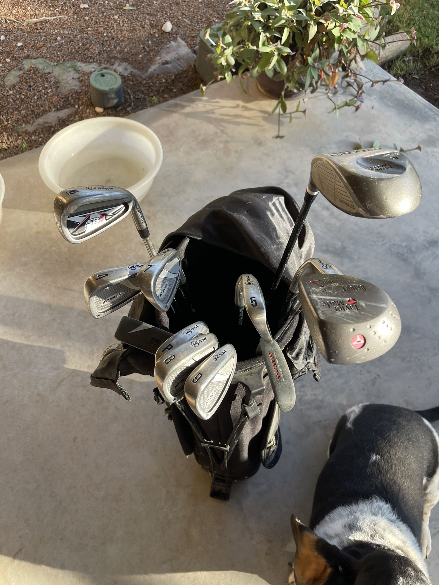 Golf Club Irons Set, With Stand Bag