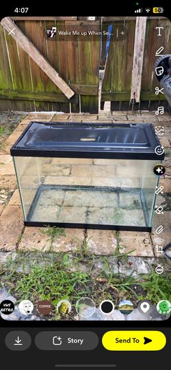 Fish Tank Aquarium