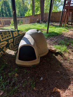 Igloo dog house