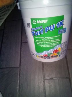 Glue