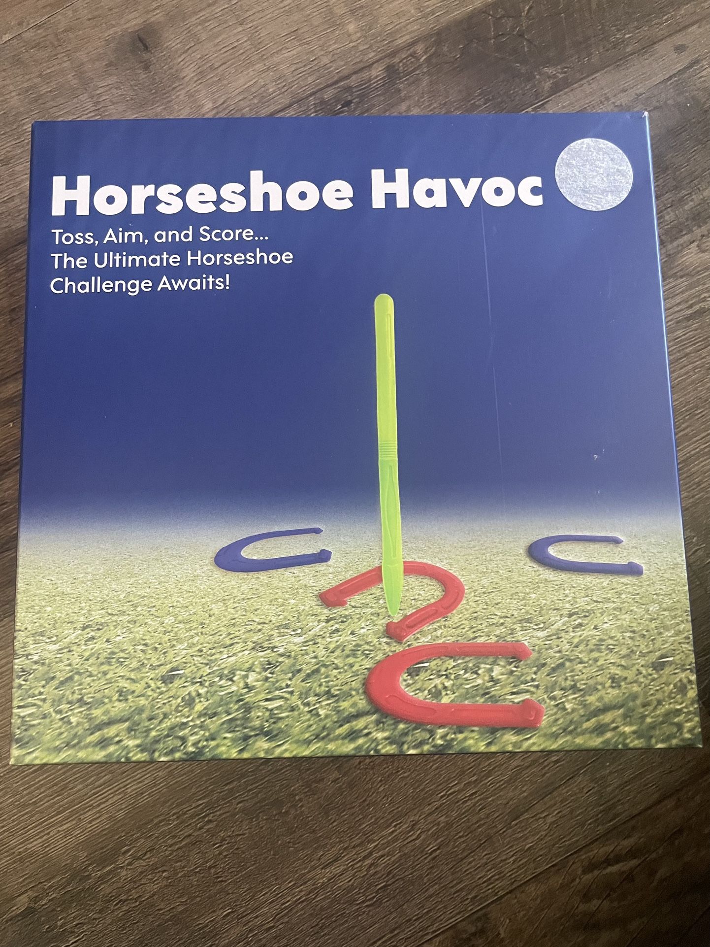 Horseshoe Havoc Kids Outdoor Game New