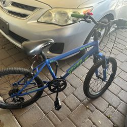 Kids Bike / BCA 20" Crossfire 6-Speed Boy's Mountain Bike, Blue/Green
