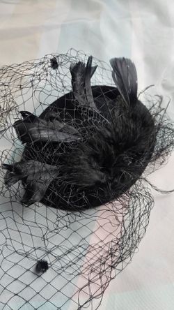 Black Feather Fascinator Hat with Veil