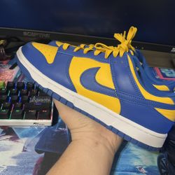 SB Dunk FS !!