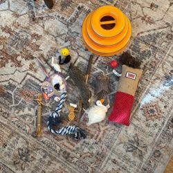 Assortment Of Cat Toys