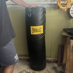 Everlast Heavy Bag And Chain Set Up