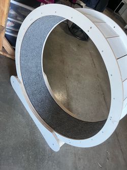 Cat treadmill