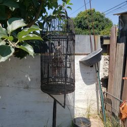 Antique Bird Cage