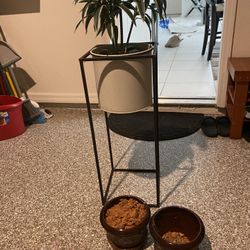 Flower Pot And Stand