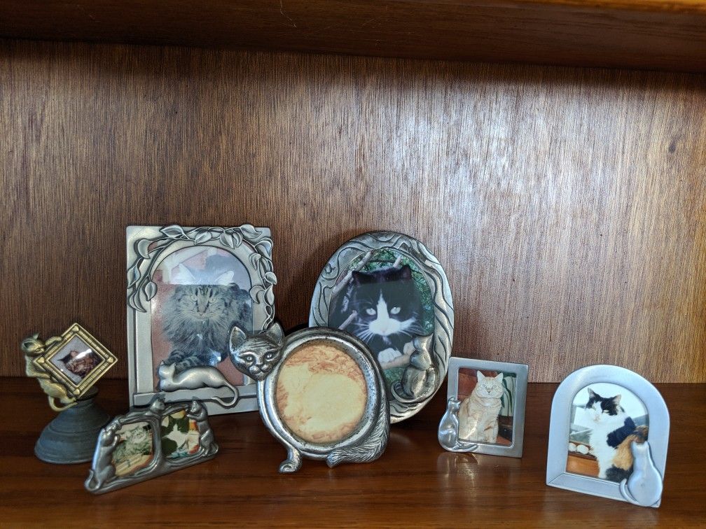 7 small cat themed picture frames