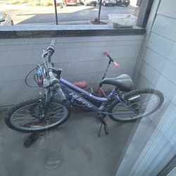 Huffy 24" Rock Creek Mountain Bike