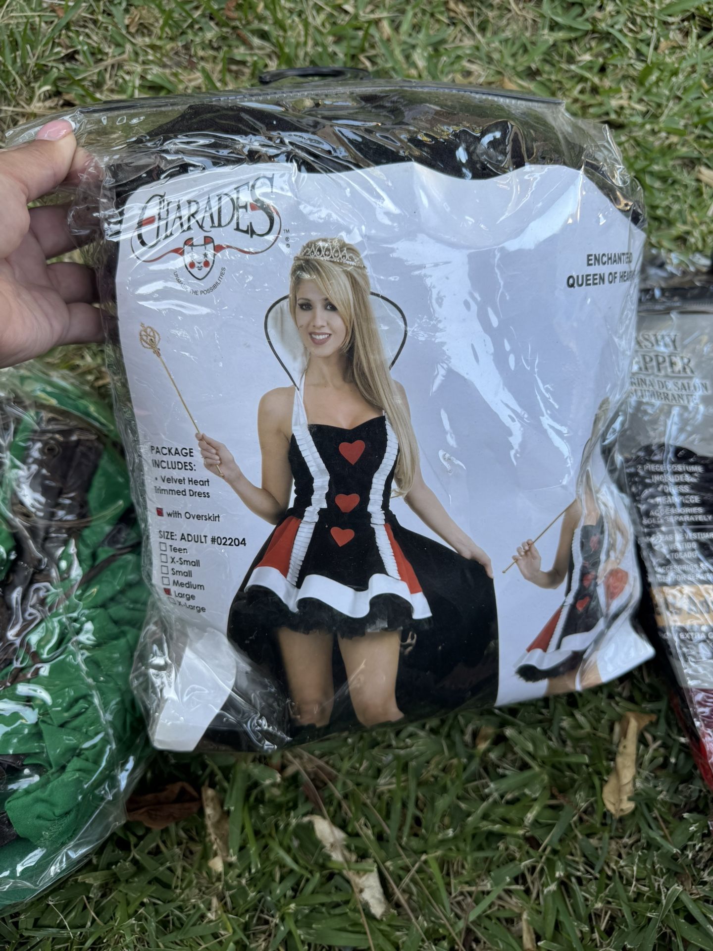 Enchanted Queen Of Hearts USED