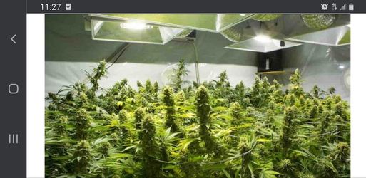 Hydroponics Grow equipment 