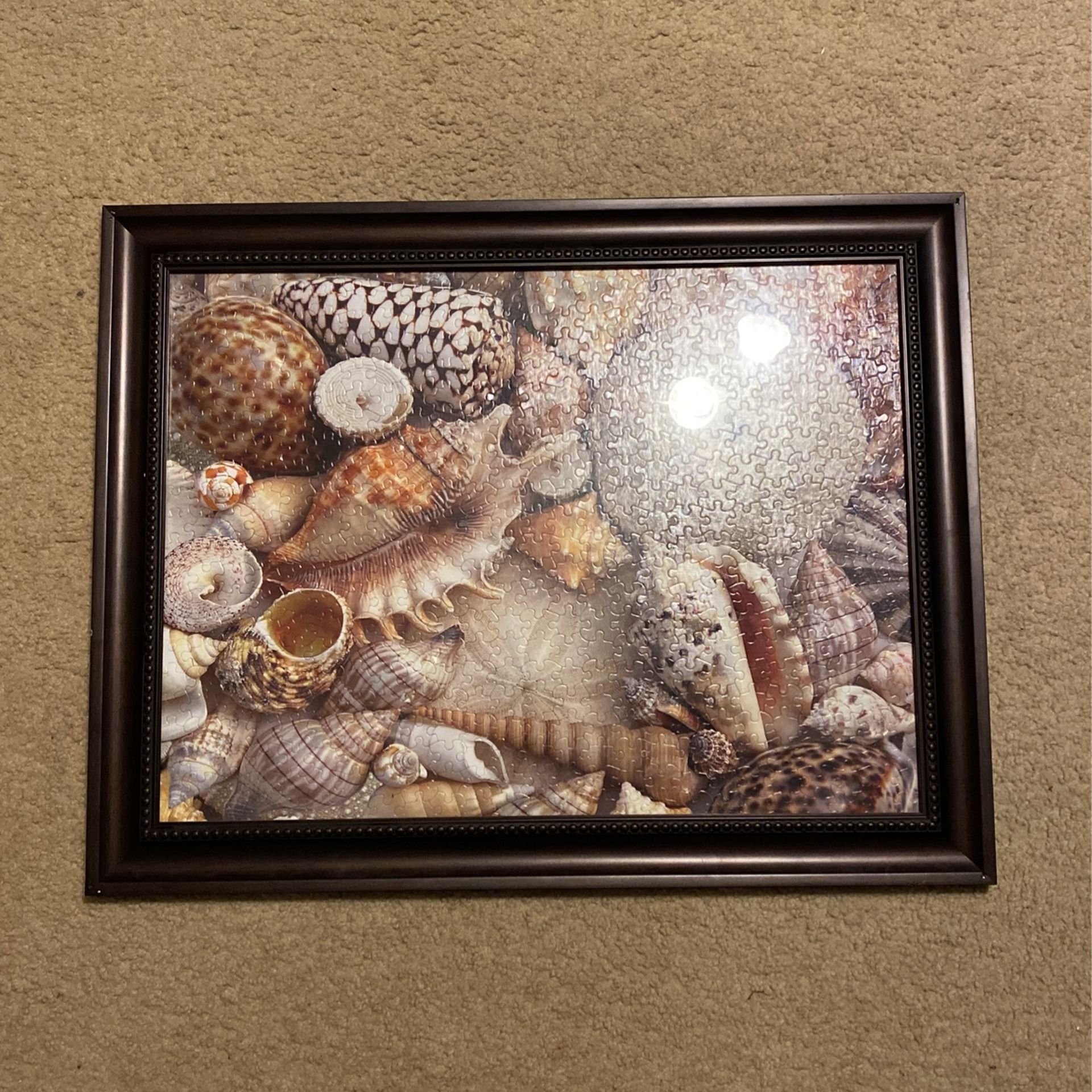 Snails Puzzle Picture 