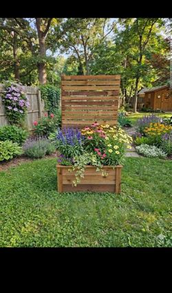36"L x 16"W x 72" T Cedar Planter with Privacy Screen