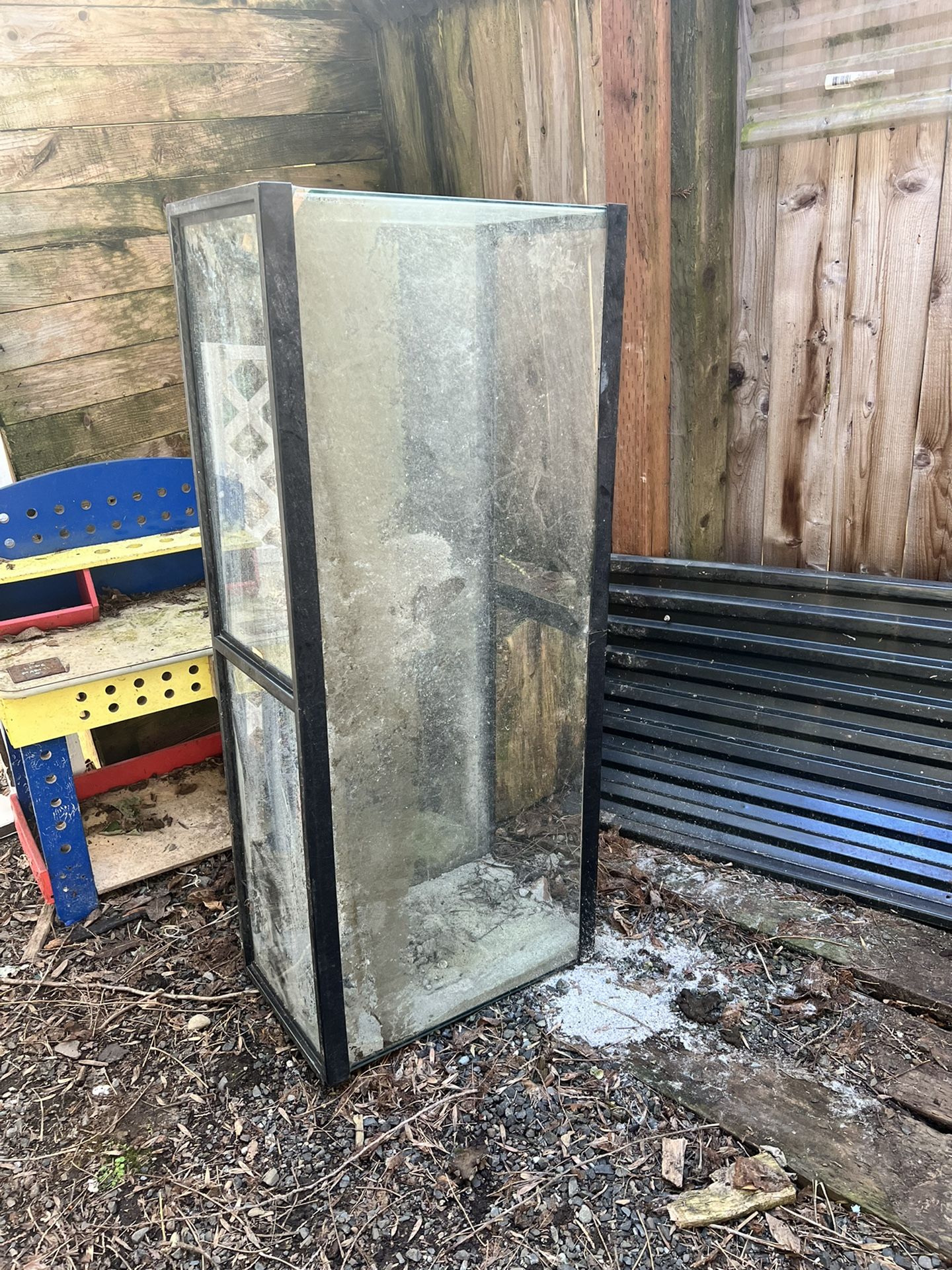 55 Gal Aquarium