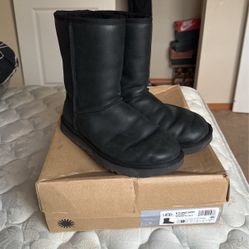 Women's Uggs 