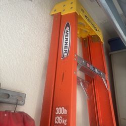 Warner 300Lb Ladder
