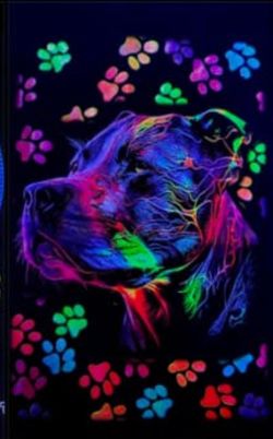 glow shirts amazing deal and quality large and 2xl xl