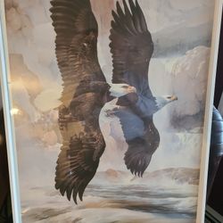 Framed Print Eagles On The Wing  