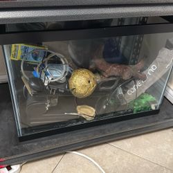 20 Gallon Tank 