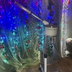 Facial Steamer For Beauty Treatments 