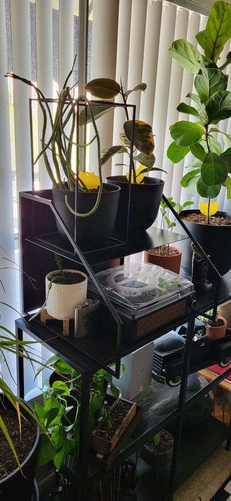 Industrial Metal Shelf