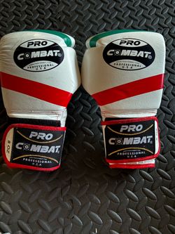 pro Combat boxing gloves