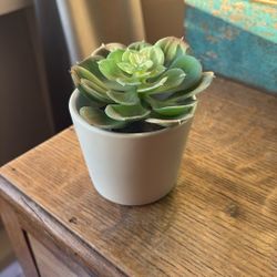 3” Potted Fake Succulent