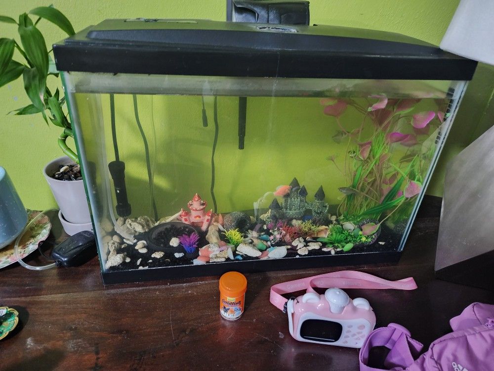 Fish Tank And Fishs