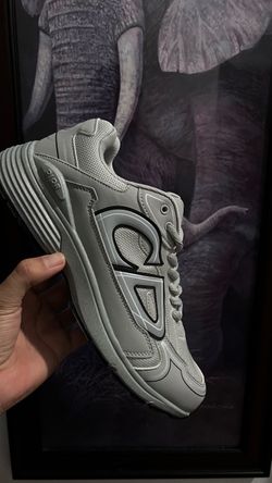 Dior B30 Sneakers Gray