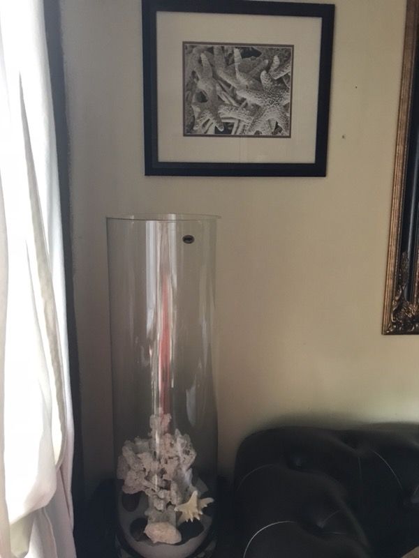 Beach theme home decor. Real crystal 26” tall x 8-1/4” tall starfish frame 17”x 15”. Great for office, den or family room