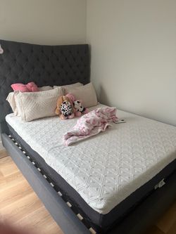 Queen bed with orthopedic mattress