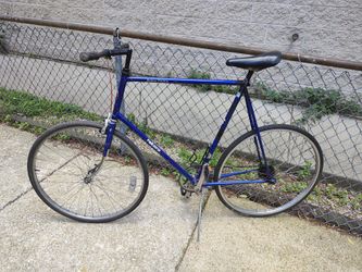 Electric Blue large size Takara single speed road bike w flatbar