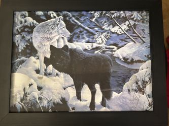 3D Wolf Picture