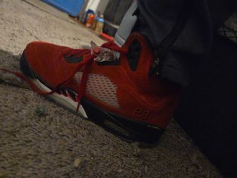 Toro 5