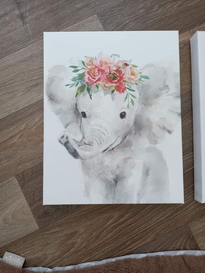 Canvases, Rug, & Picture Frame