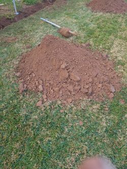 Tierra Limpia Gratis