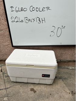 Cooler hielera