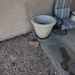 Concrete Flower Pot 