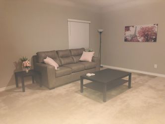 Brand New Pair Of 21” Pink Decorative Pillow