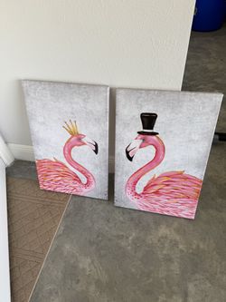 Flamingo pictures