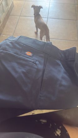 Dickies work pants