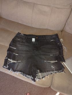 Fashion Nova Shorts